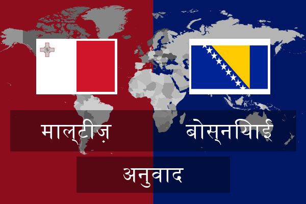  बोस्नियाई अनुवाद