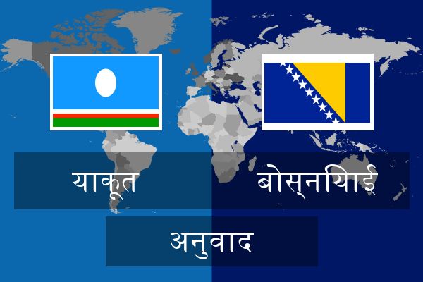  बोस्नियाई अनुवाद