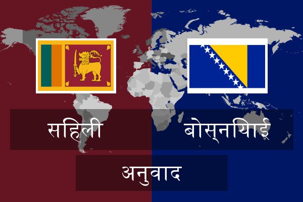  बोस्नियाई अनुवाद