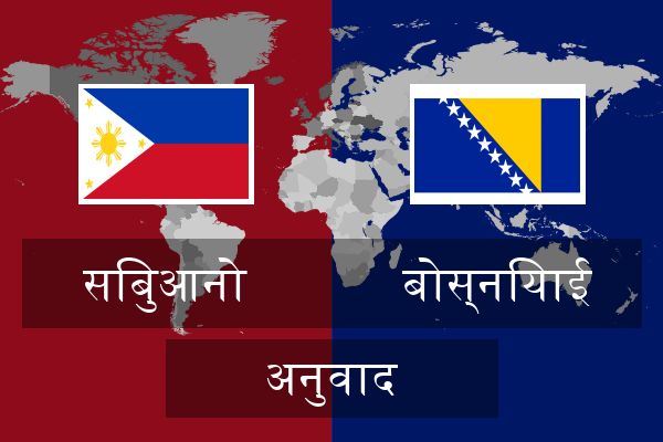  बोस्नियाई अनुवाद