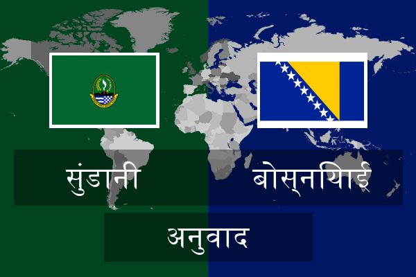  बोस्नियाई अनुवाद