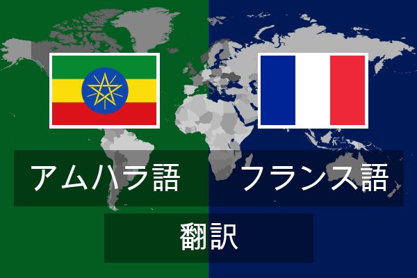  フランス語 翻訳
