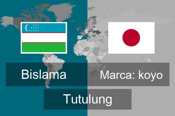  Marca: koyo Tutulung