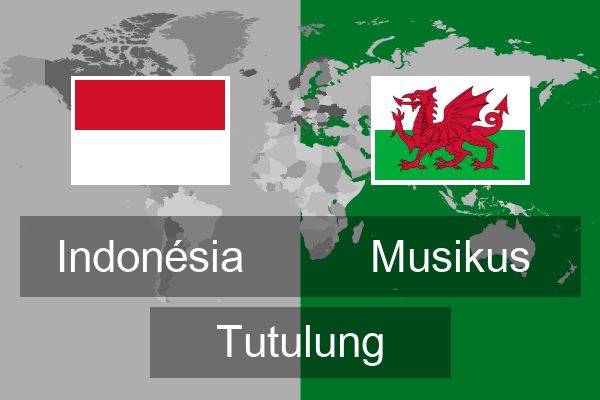  Musikus Tutulung