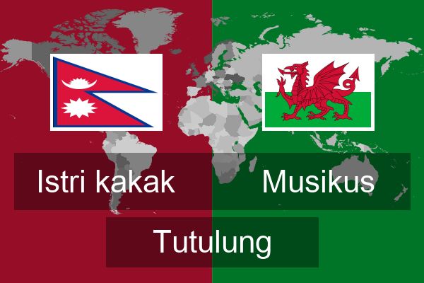  Musikus Tutulung