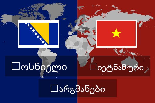  ვიეტნამური თარგმანები
