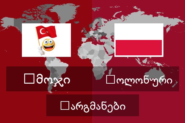  პოლონური თარგმანები