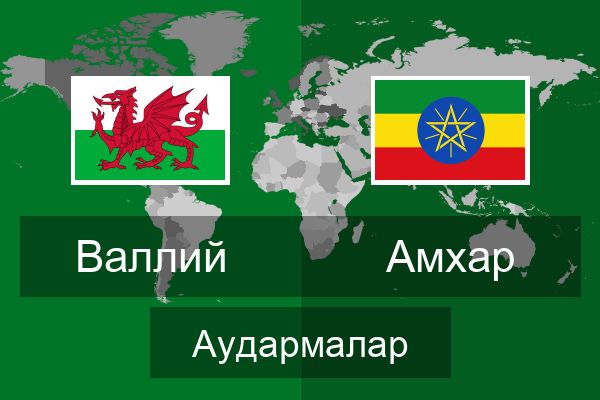  Амхар Аудармалар