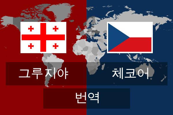  체코어 번역
