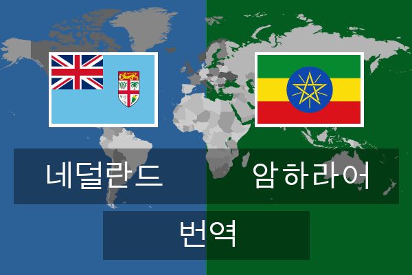  암하라어 번역