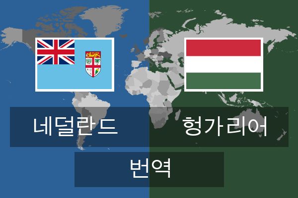  헝가리어 번역