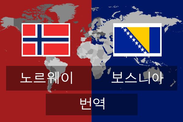  보스니아 번역