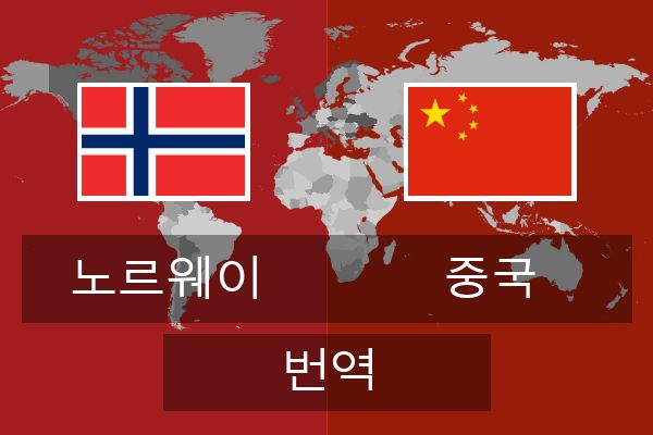  중국 번역