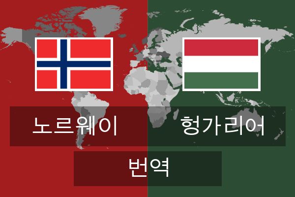  헝가리어 번역