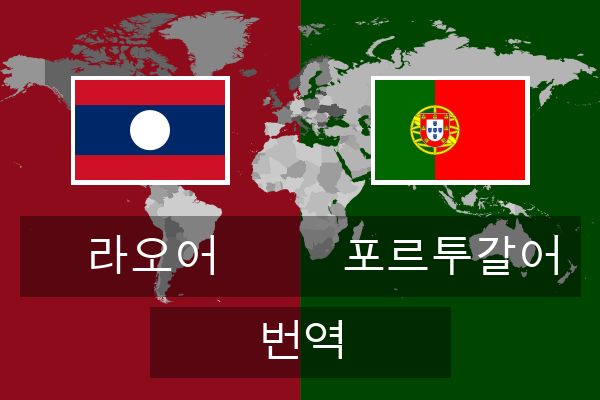  포르투갈어 번역