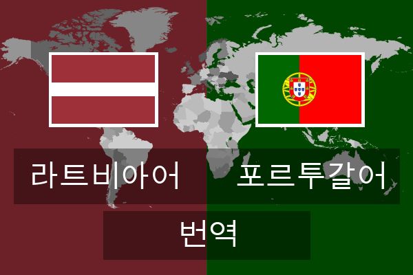  포르투갈어 번역