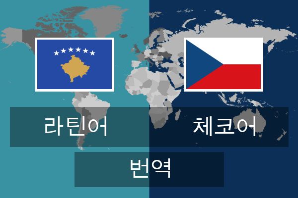  체코어 번역