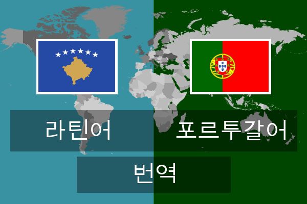  포르투갈어 번역