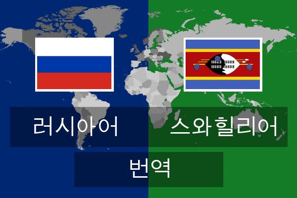  스와힐리어 번역