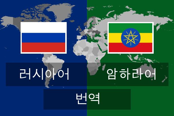  암하라어 번역