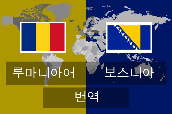  보스니아 번역