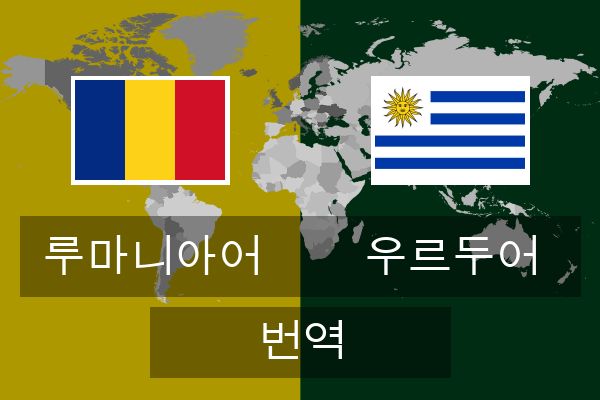 우르두어 번역
