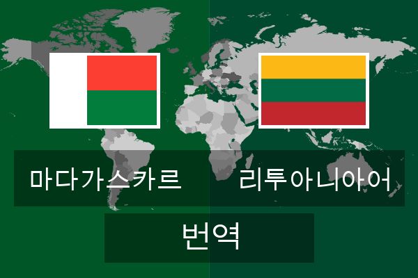  리투아니아어 번역