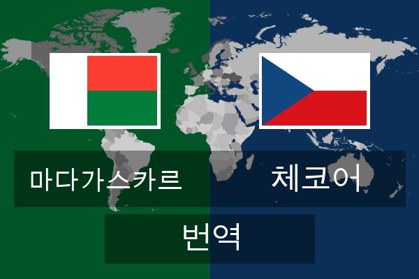  체코어 번역