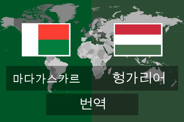  헝가리어 번역