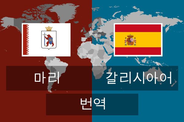  갈리시아어 번역