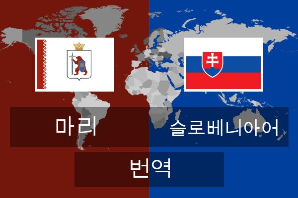  슬로베니아어 번역