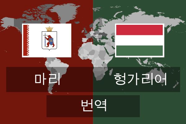  헝가리어 번역