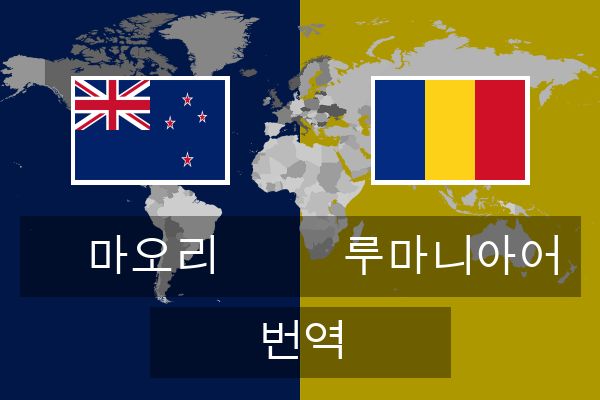  루마니아어 번역