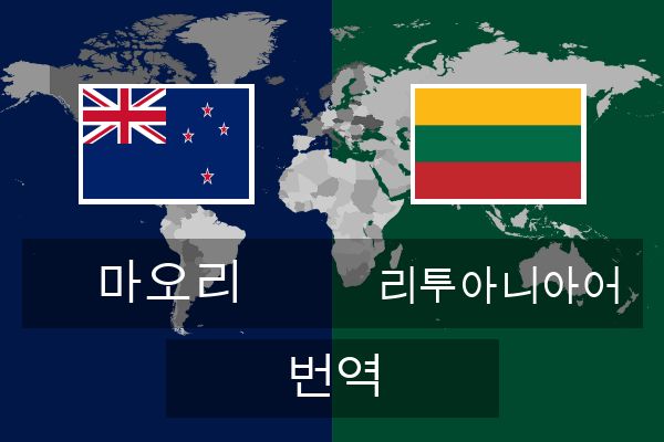  리투아니아어 번역
