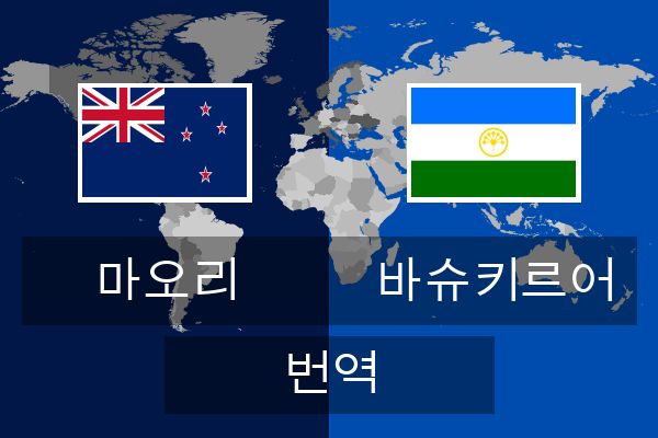  바슈키르어 번역