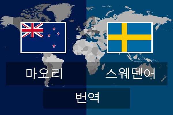  스웨덴어 번역