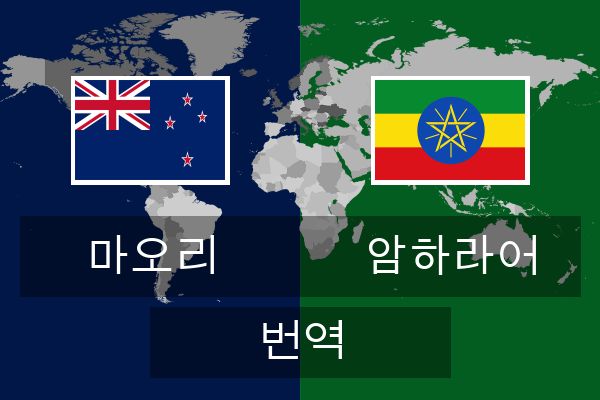  암하라어 번역