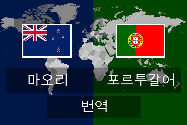  포르투갈어 번역