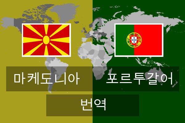  포르투갈어 번역