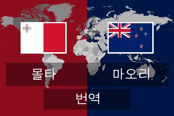  마오리 번역