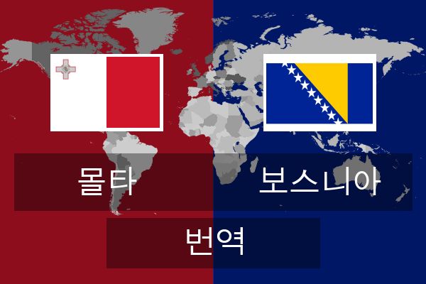  보스니아 번역