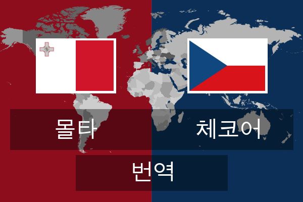  체코어 번역
