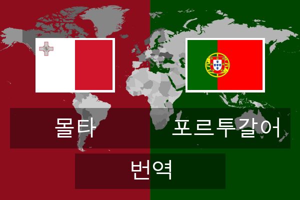  포르투갈어 번역
