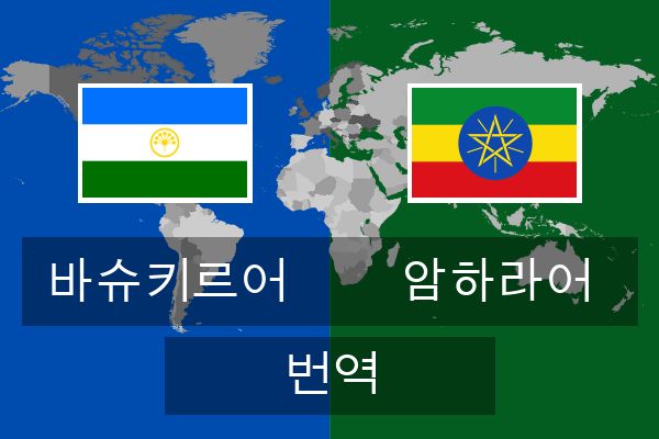  암하라어 번역