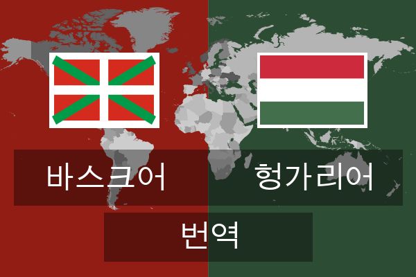  헝가리어 번역