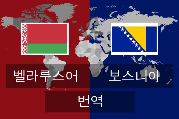 보스니아 번역