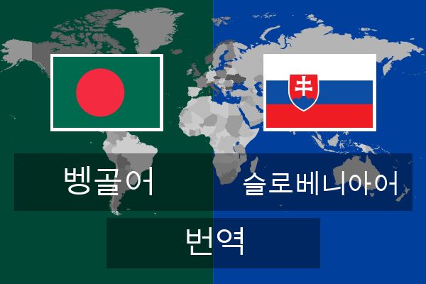  슬로베니아어 번역