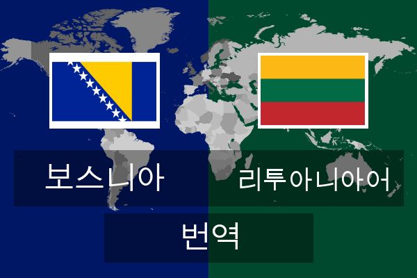 리투아니아어 번역