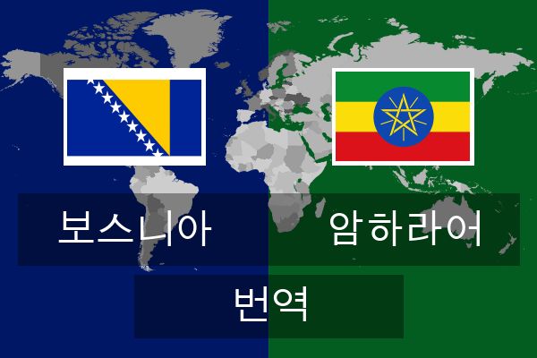  암하라어 번역