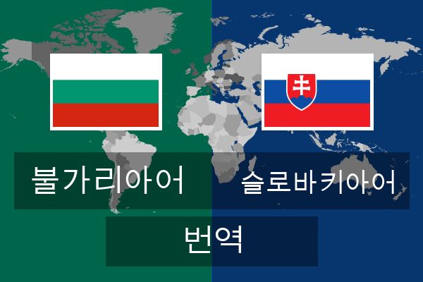  슬로바키아어 번역